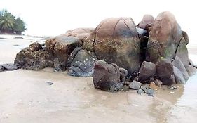 Nhà Nghỉ Việt Thắng